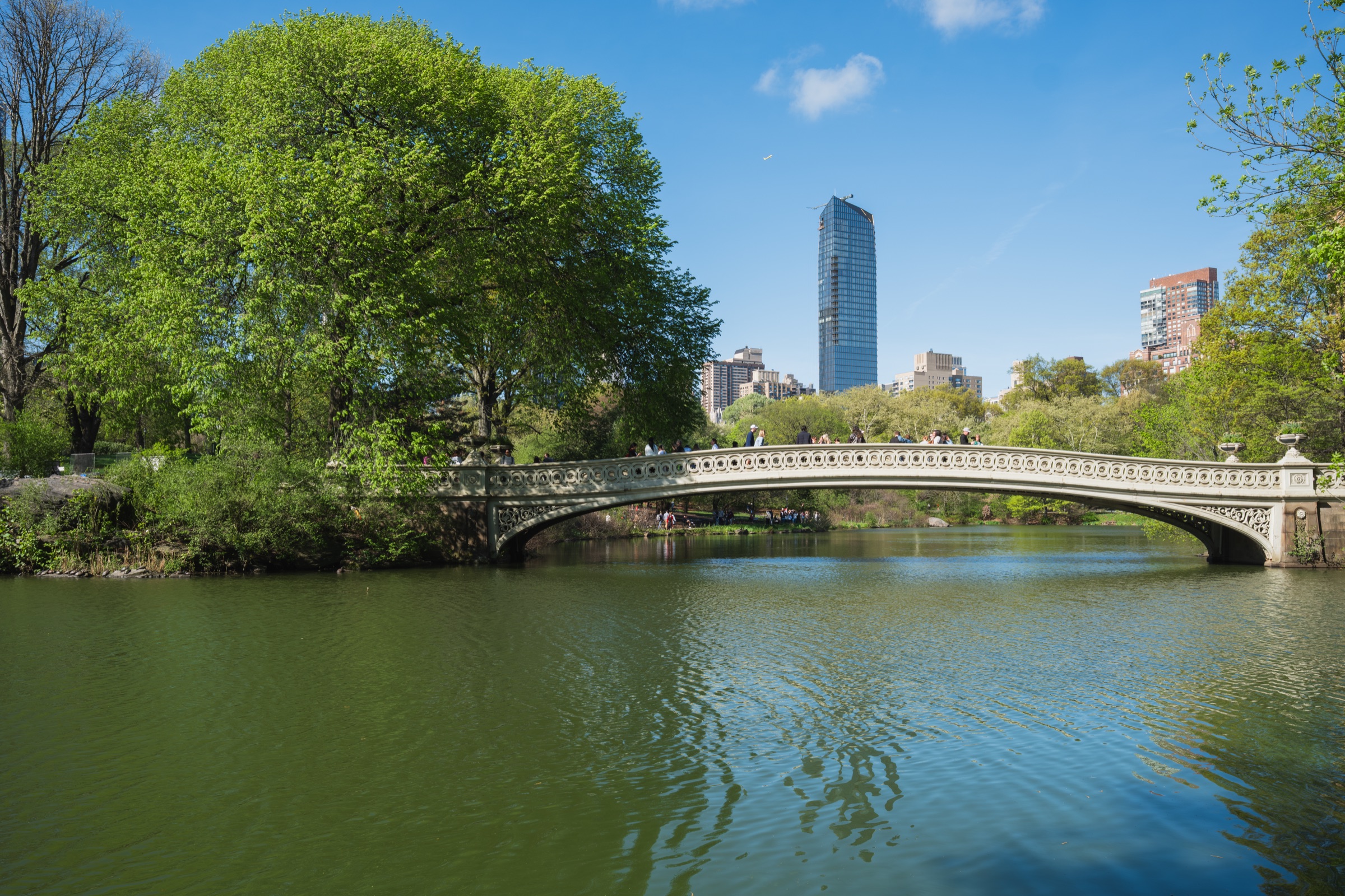 Central Park in New York City