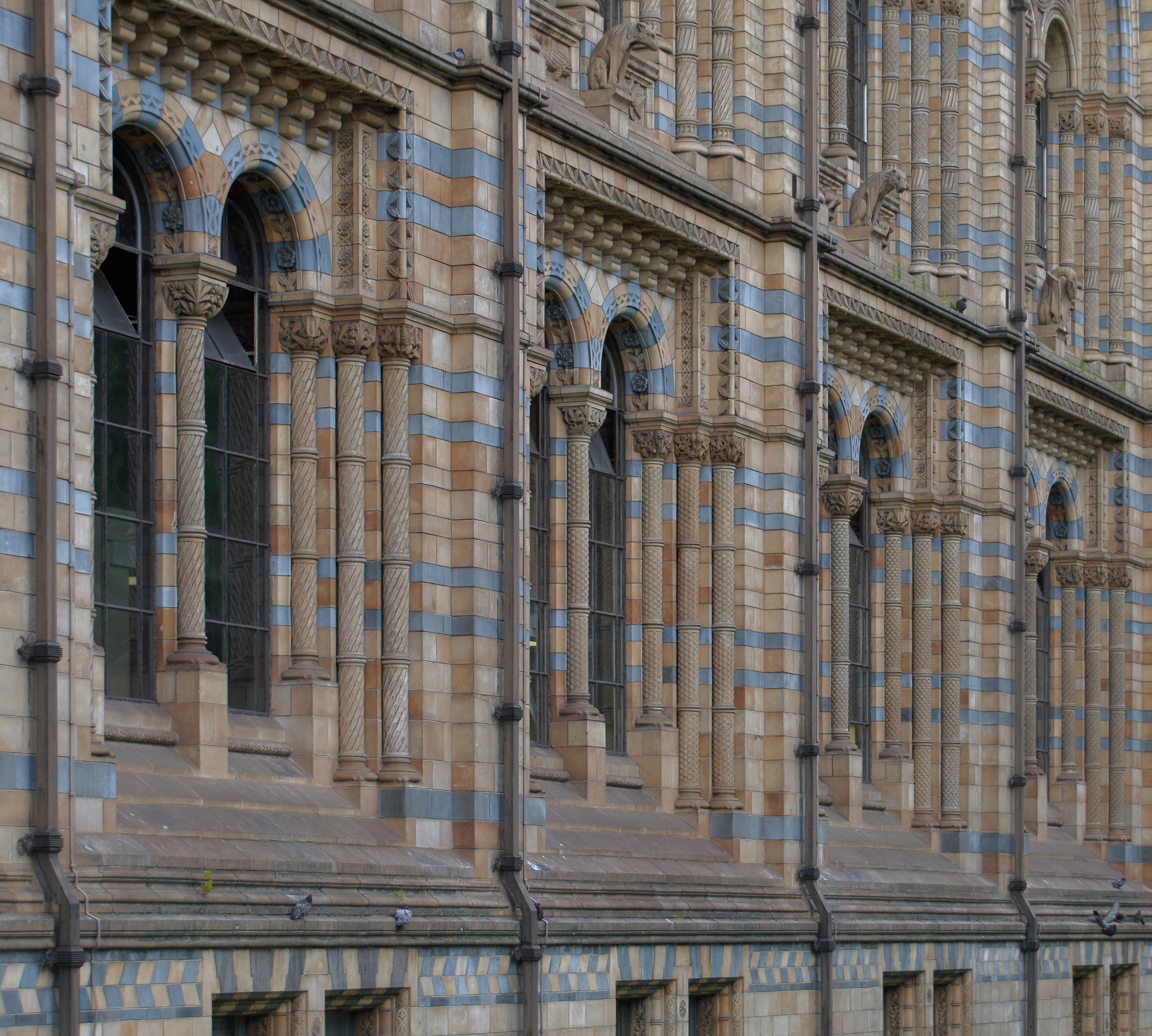 The Natural History Museum in London